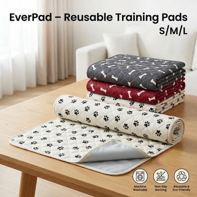 EverPad